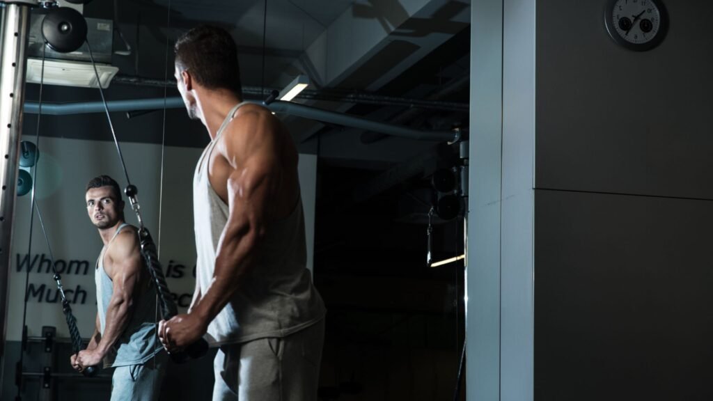 arm workout exercises