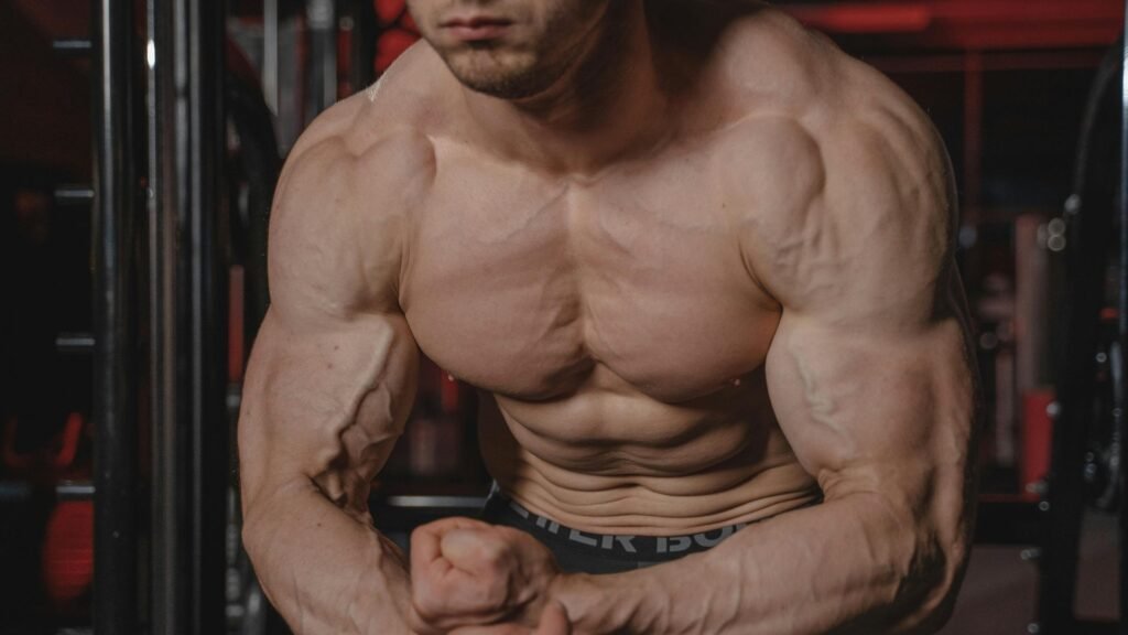 muscle building workouts