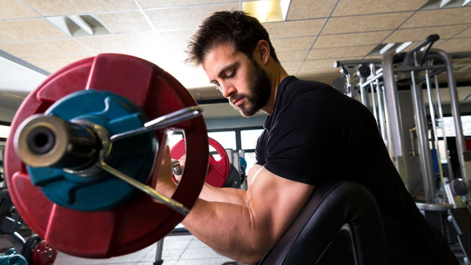 biceps workout